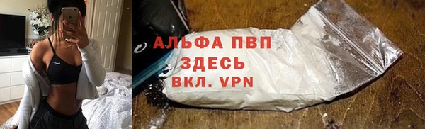 индика Лабытнанги