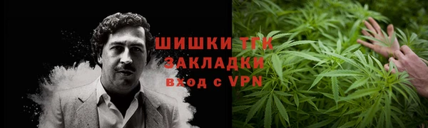 индика Лабытнанги